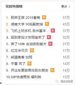 新闻爆料音乐,揭秘最新爆料背后的音乐故事  第1张